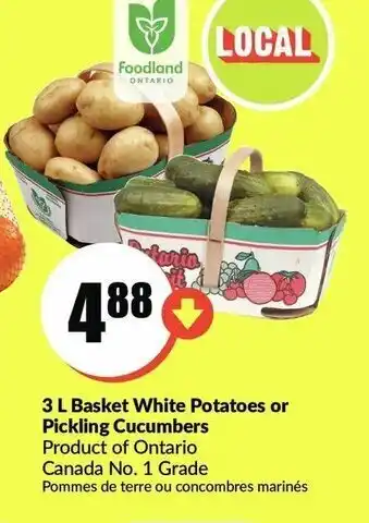 FreshCo 3 L basket white potatoes offer