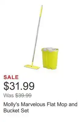 Costco Molly's marvelous flat mop and bucket set offer
