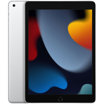 Best Buy Apple ipad 10.2 64gb with wi-fi (9th generation) - silver offer