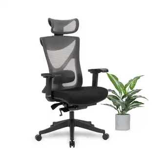 Best Buy Effydesk kaichair fully adjustable best ergonomic office chair and task chair with lumbar support and posture alignment and 4 offer