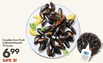 Longo's Canadian cove fresh cultivated mussels offer