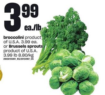 Loblaws Broccolini or brussels sprouts offer