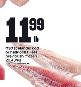 Loblaws Msc icelandic cod or haddock fillets offer
