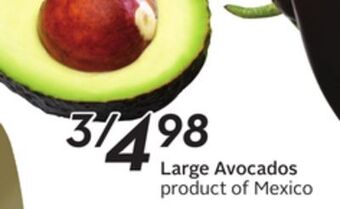 Sobeys Large avocados offer