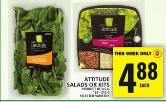 Food Basics Attitude salads or kits offer