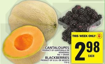 Food Basics Cantaloupes or blackberries offer