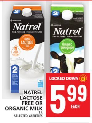 Food Basics Natrel lactose free or organic milk offer