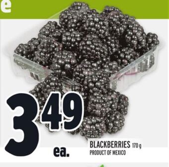 Metro Blackberries offer