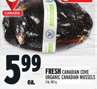 Metro Fresh canadian cove organic canadian mussels offer