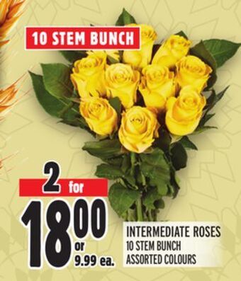 Metro Intermediate roses offer