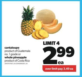 Real Canadian Superstore Cantaloupe or whole pineapple offer