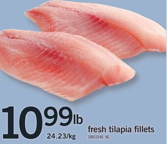 Fortinos Fresh tilapia fillets offer
