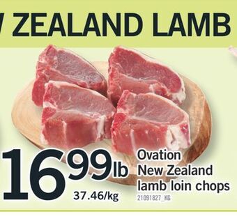 Fortinos Ovation new zealand lamb loin chops offer
