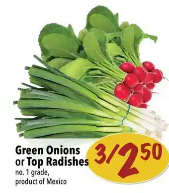 Farm Boy Green onions or top radishes offer