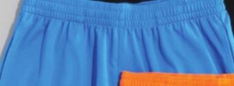 Giant Tiger Performance shorts offer