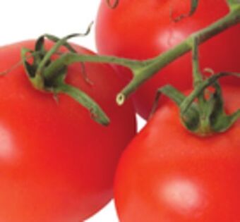 Giant Tiger 1 lb tomatoes on the vine offer