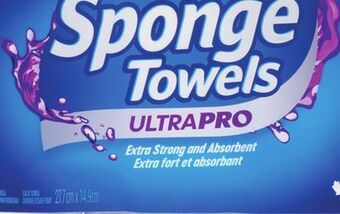 Giant Tiger Sponge towels paper towels offer