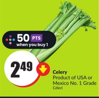 FreshCo Celery product of usa or mexico no. 1 grade offer