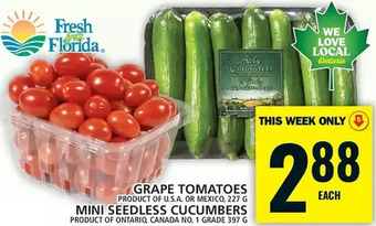 Food Basics Grape tomatoes | mini seedless cucumbers offer