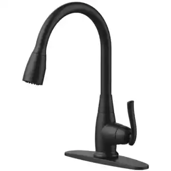Canadian Tire Danze terrazo 1-handle kitchen faucet | kitchen faucets offer