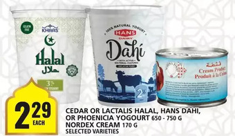 Food Basics Cedar or lactalis halal, hans dahi, or phoenicia yogourt, nordex cream offer