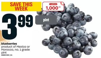 Loblaws Blueberries offer