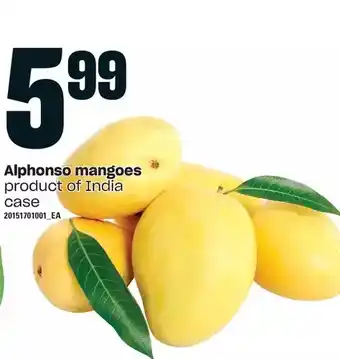 Loblaws Alphonso mangoes offer