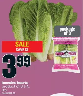 Loblaws Romaine hearts offer