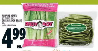 Metro Romaine hearts | green french beans offer