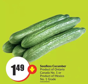 FreshCo Seedless cucumber offer