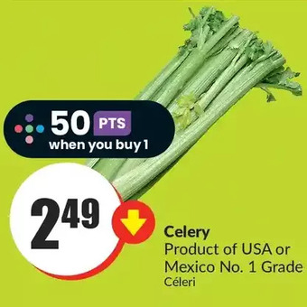 FreshCo Celery offer