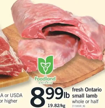 Fortinos Fresh ontatio small lamb offer