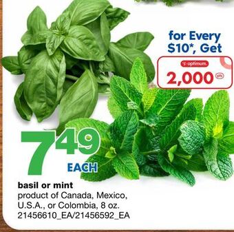 Basil or mint, 8 oz.