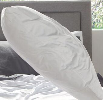 Sleep Country Organic cotton pillow offer