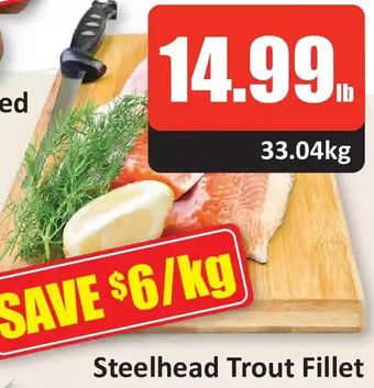 Starsky Steelhead trout fillet offer
