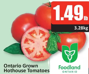 Starsky Hothouse tomatoes offer