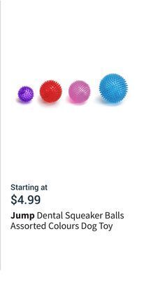 Petvalu Dental squeaker balls assorted colours dog toy offer