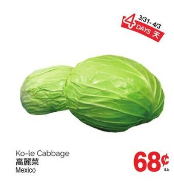 T&T Supermarket Ko-le cabbage offer