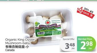 T&T Supermarket Organic king oyster mushroom-baby offer