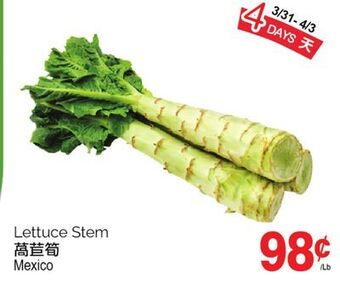 T&T Supermarket Lettuce stem offer