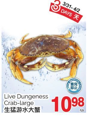 T&T Supermarket Live dungeness crab-large offer