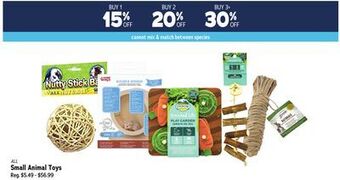 Ren’s Pets Depot Small animal toys offer