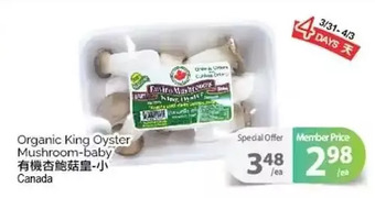 T&T Supermarket Organic king oyster mushroom-baby offer