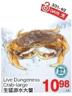 T&T Supermarket Live dungeness crab-large offer