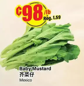 Btrust Supermarket Baby mustard offer