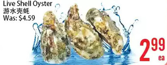 Bestco Food Mart Live shell oyster offer