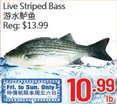 Hong Tai Supermarket Live striped bass offer