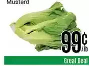 Nations Fresh Foods Mustard offer