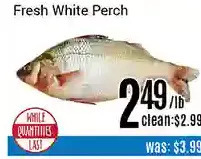 Nations Fresh Foods Fresh white perch offer