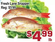 Top Food Supermarket Fresh lane snapper offer